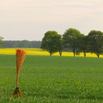 Landart als persönliches Zeichen in der gestalteten Natur