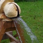 Wasserspeier in Aktion